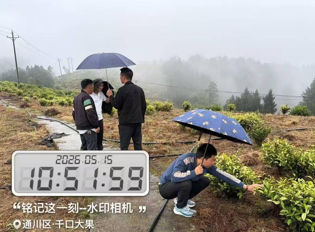 校地专家联合调研千口村茶园 科技赋能茶产业提质升级