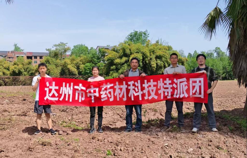 科技赋能中药种植 校地特派团同发力